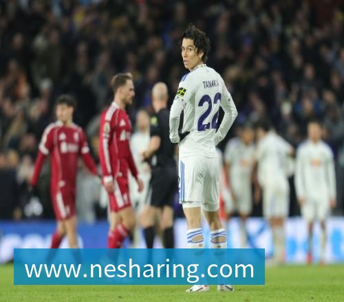 mk体育910加载中FIFA前10已有8队进16强，阿根廷明日出战，荷兰出局