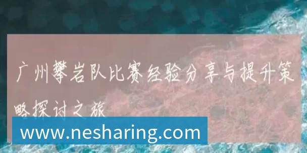 广州攀岩队比赛经验分享与提升策略探讨之旅
