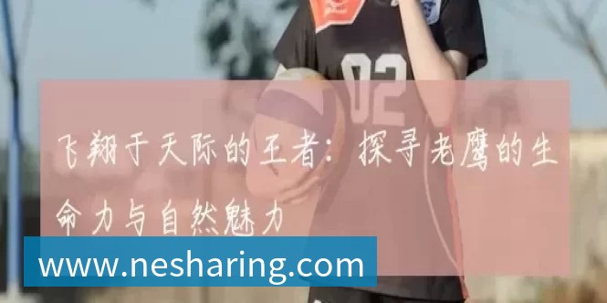 飞翔于天际的王者：探寻老鹰的生命力与自然魅力